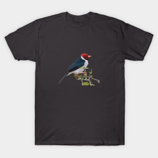 Yellow-billed Cardinal T-Shirt